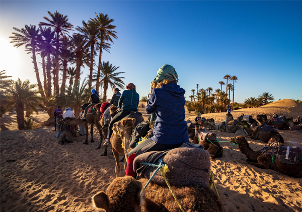 Merzouga Tours